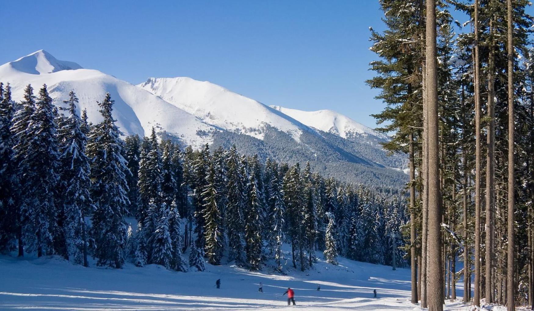 Skiing, Walking, Enjoying In Mountains Bansko Exterior foto